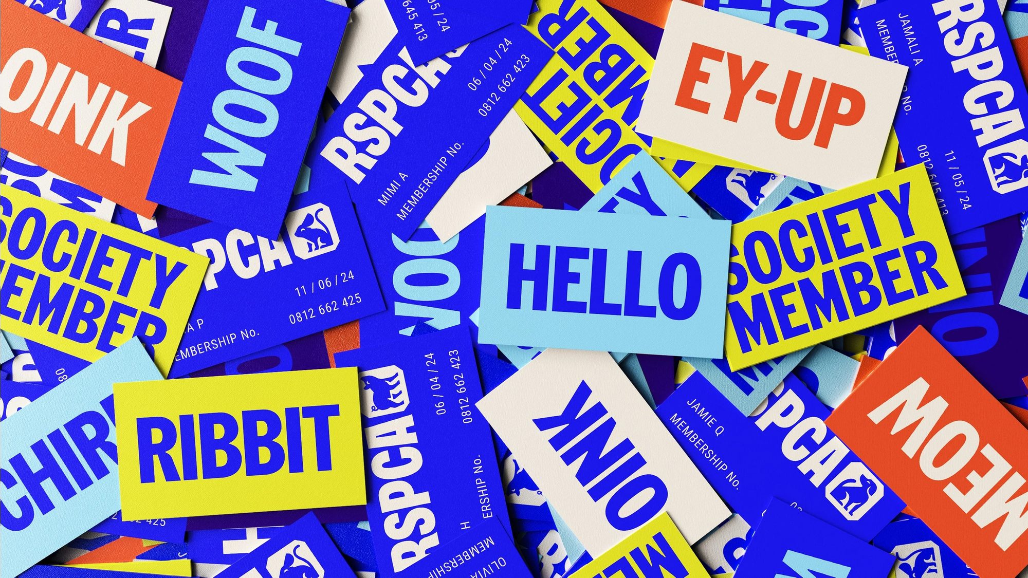 RSPCA — custom typeface case study photography