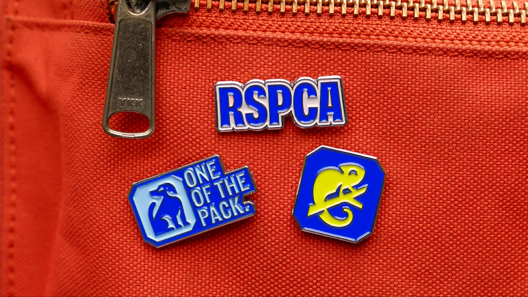 RSPCA — custom typeface case study photography