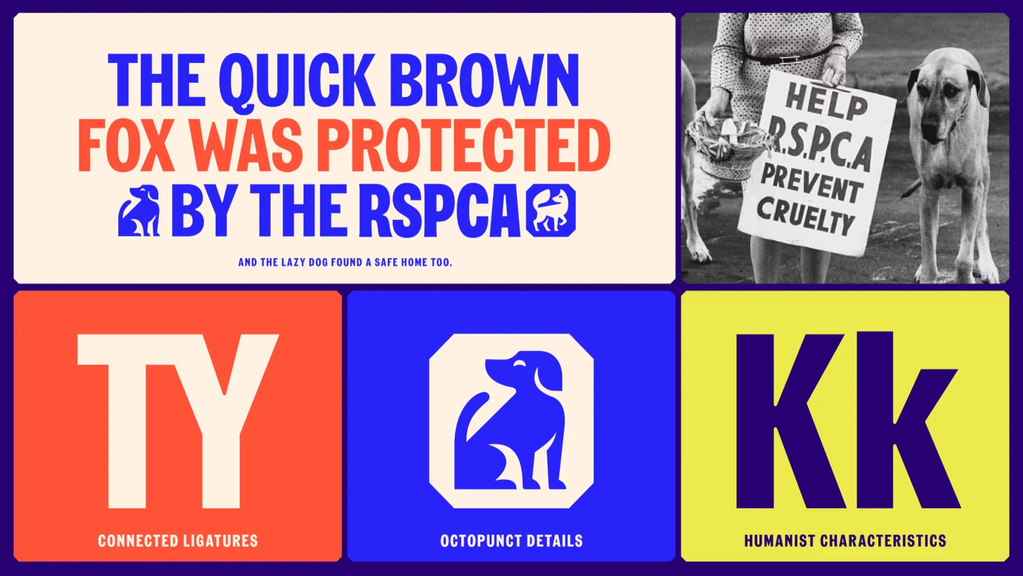 RSPCA — custom typeface case study photography