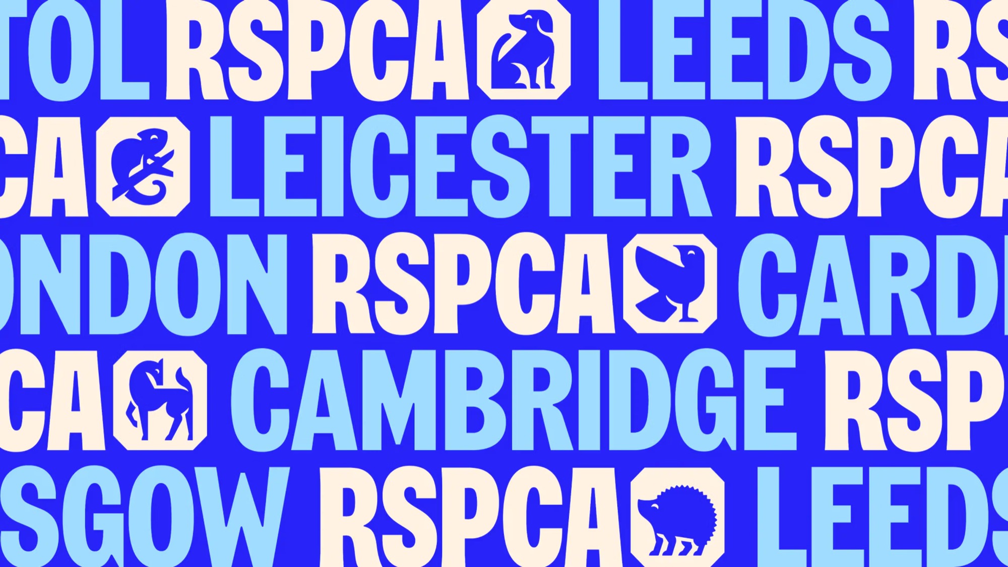 RSPCA — custom typeface case study photography