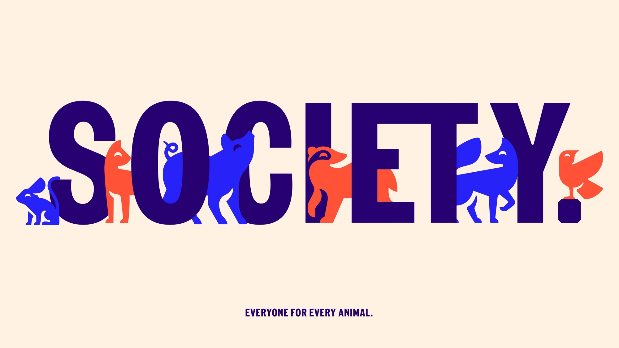 RSPCA — custom typeface case study photography
